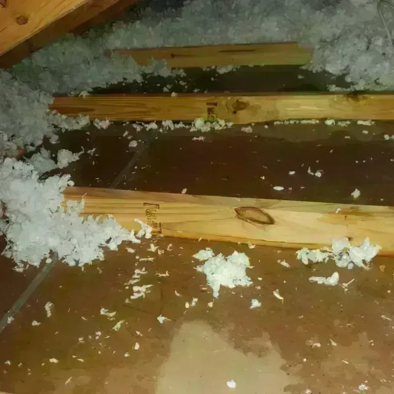 Attic Water Damage in Parker County, TX