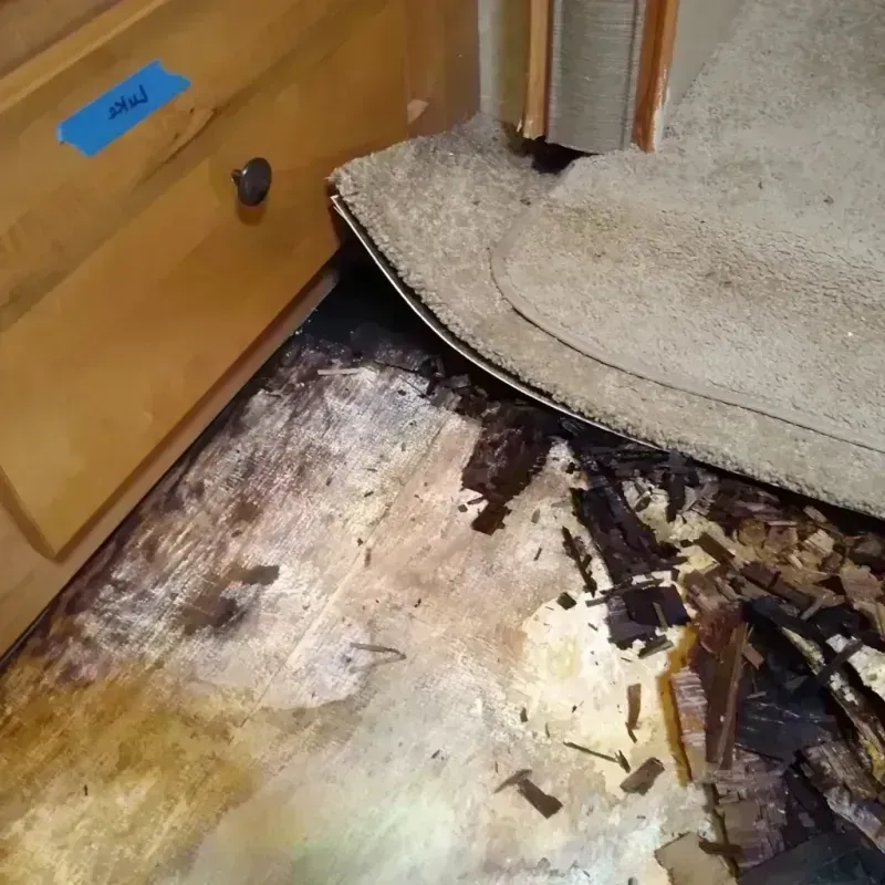 Wood Floor Water Damage in Parker County, TX